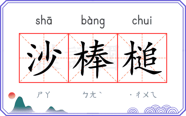 沙棒槌