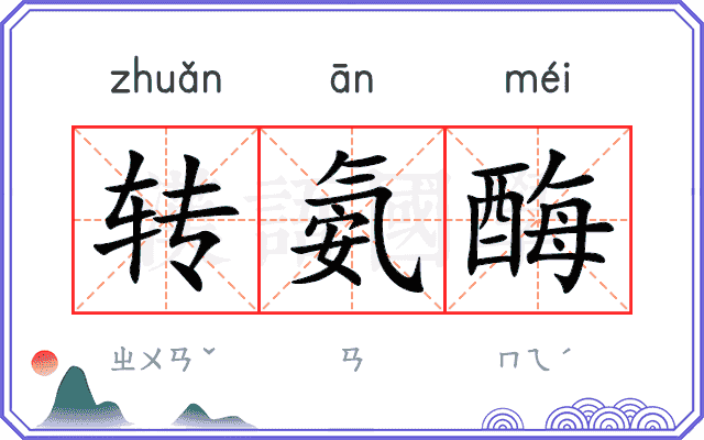 转氨酶
