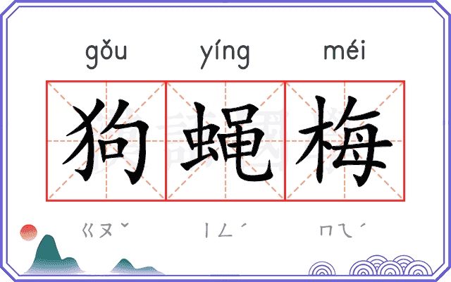 狗蝇梅