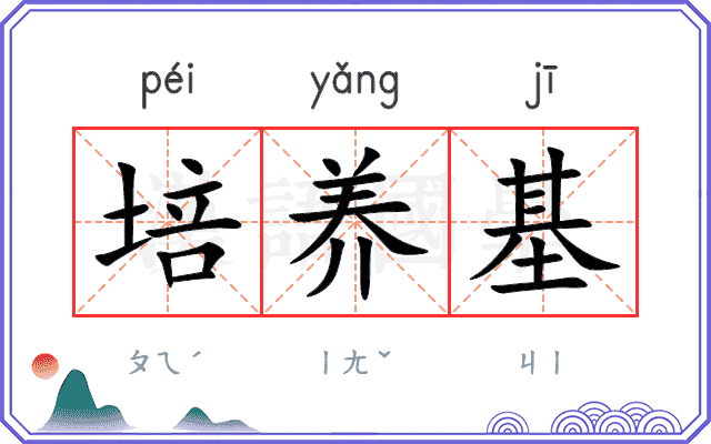 培养基