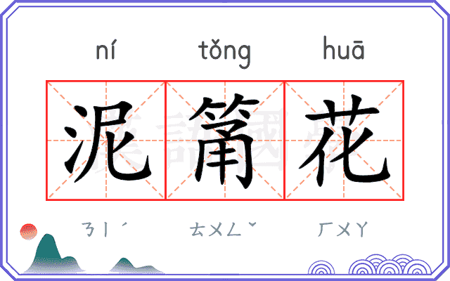 泥筩花