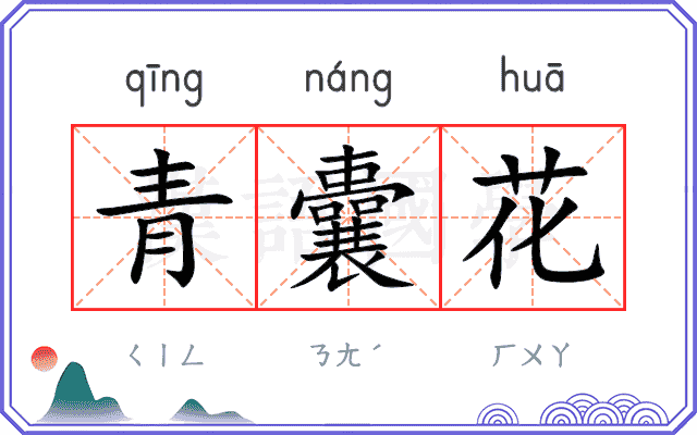 青囊花