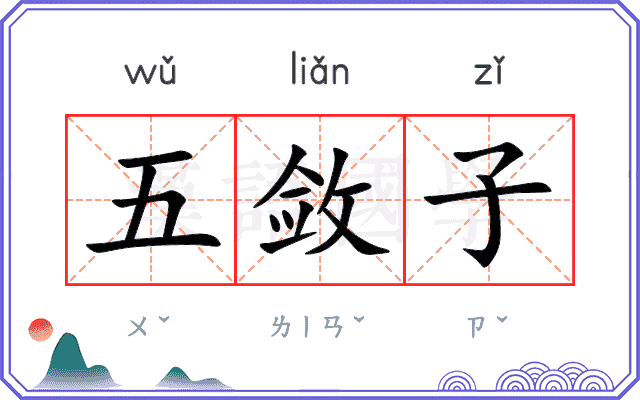 五敛子