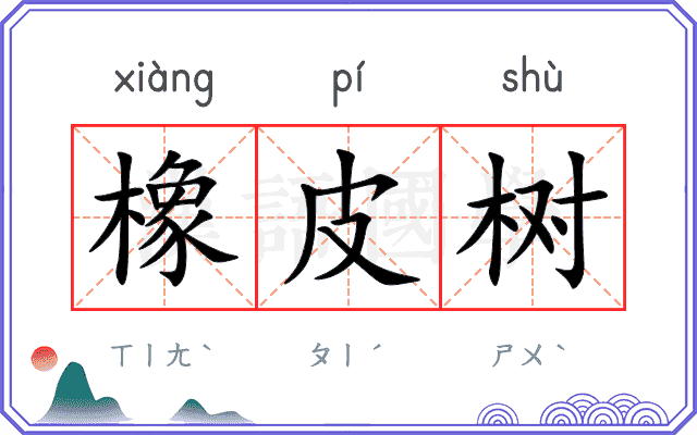 橡皮树