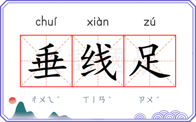 垂线足