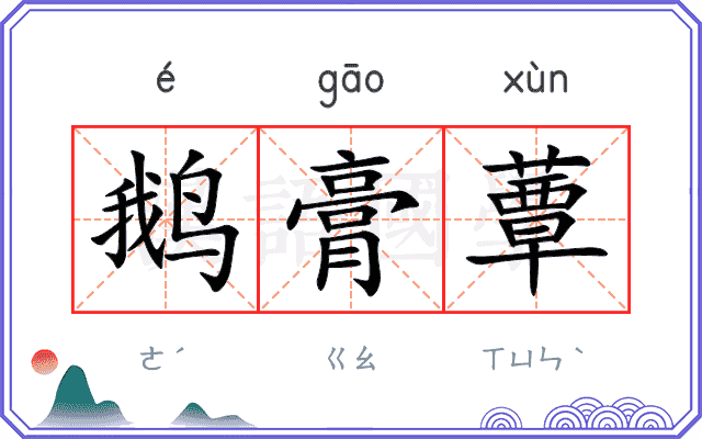 鹅膏蕈