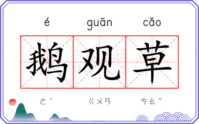 鹅观草