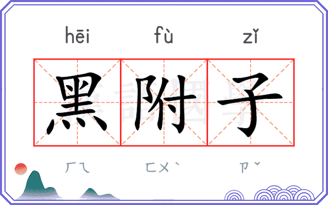 黑附子