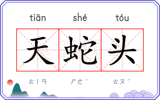 天蛇头