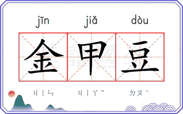 金甲豆