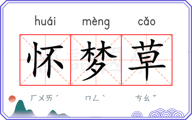 怀梦草