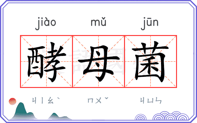 酵母菌