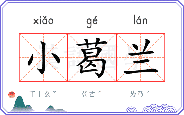 小葛兰