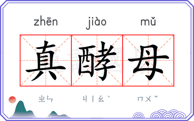 真酵母