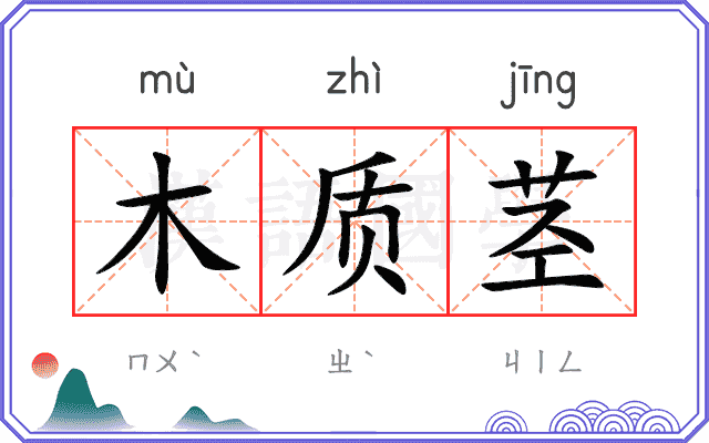 木质茎