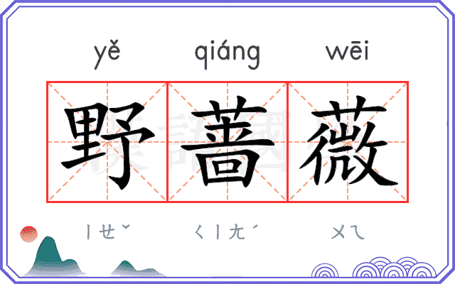 野蔷薇