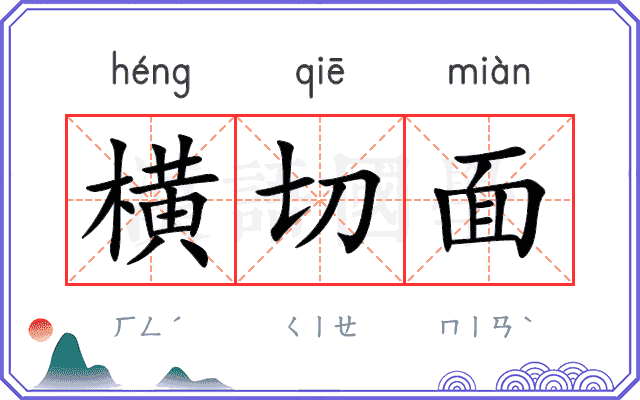 横切面