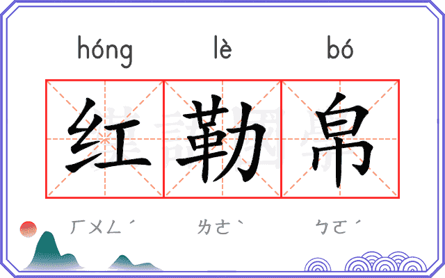 红勒帛