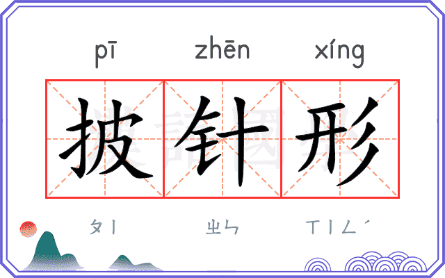 披针形