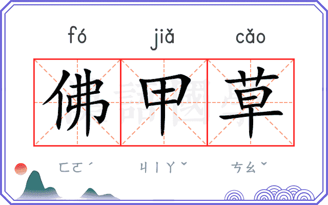 佛甲草