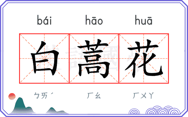 白蒿花