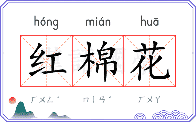 红棉花