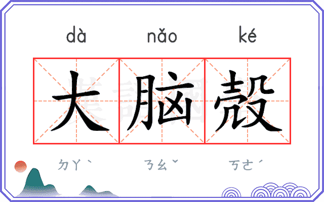 大脑殻