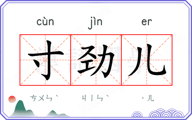 寸劲儿