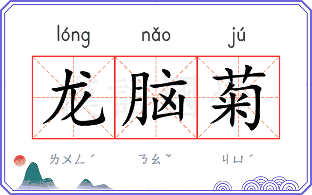 龙脑菊