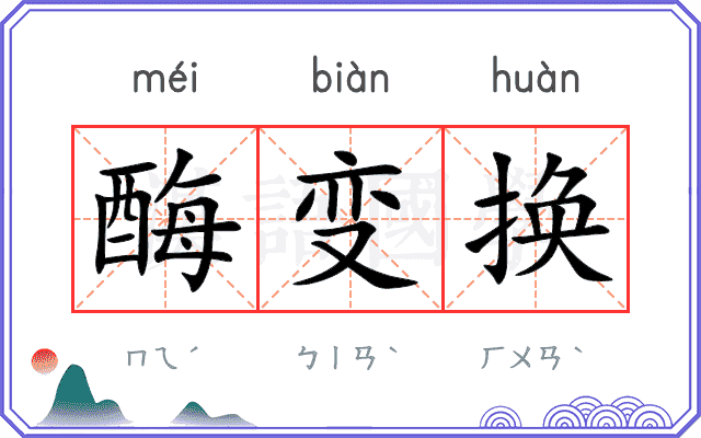 酶变换