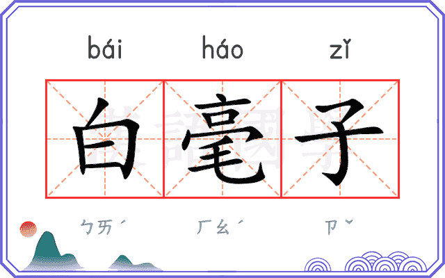 白毫子