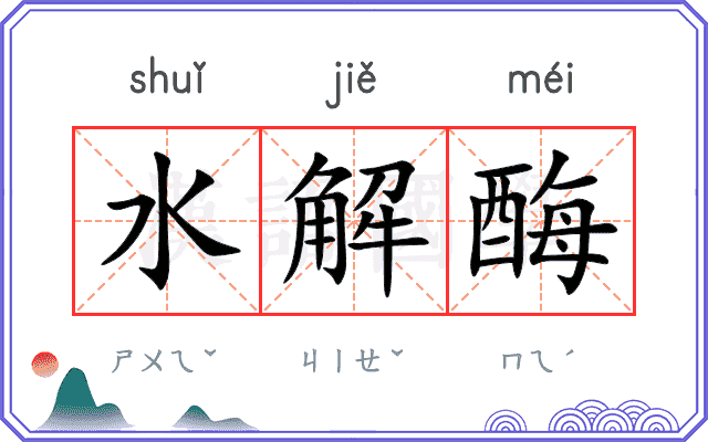 水解酶