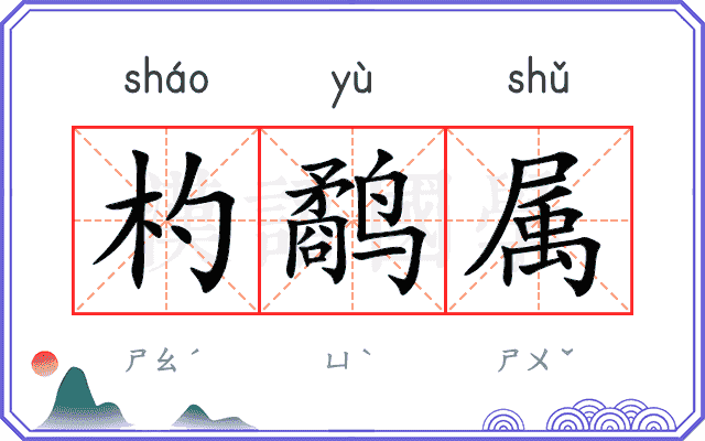 杓鹬属