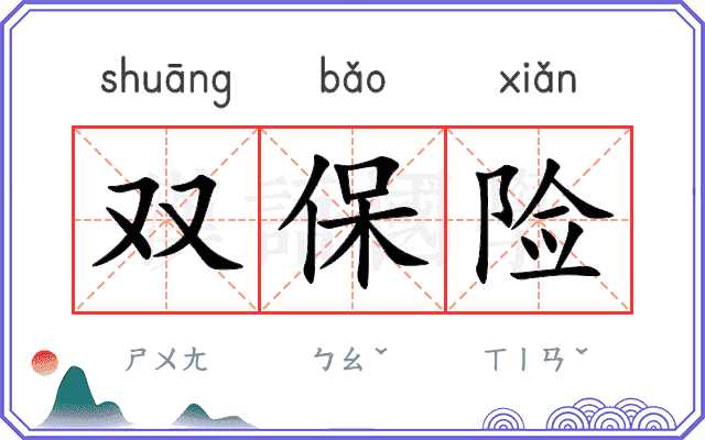 双保险