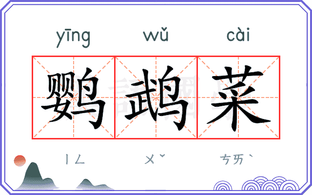鹦鹉菜