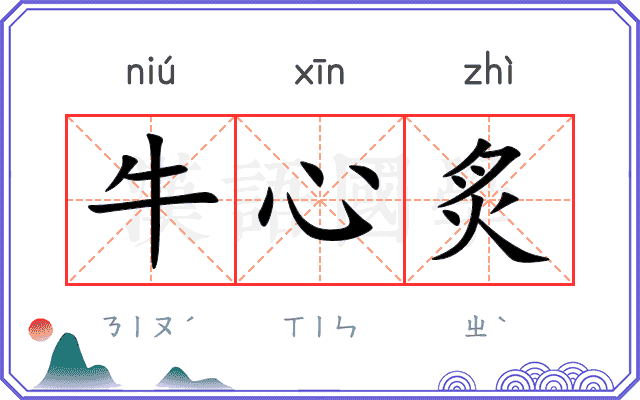 牛心炙