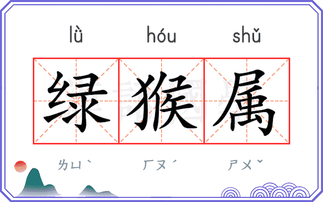 绿猴属