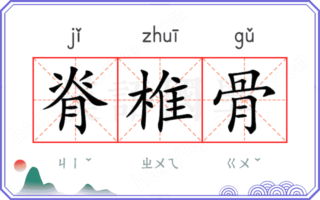 脊椎骨