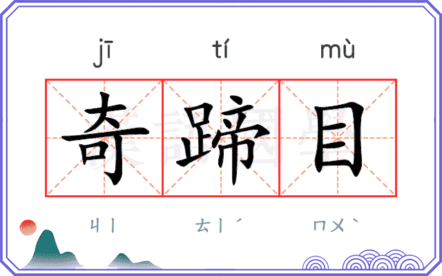 奇蹄目