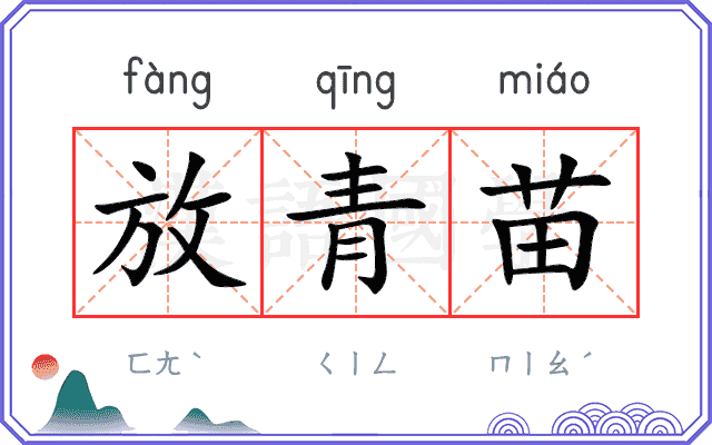 放青苗