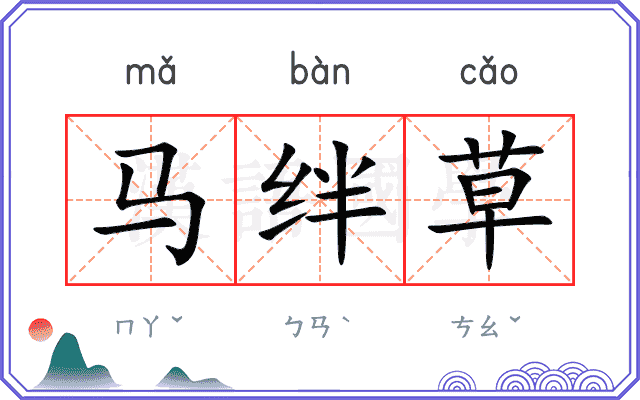 马绊草