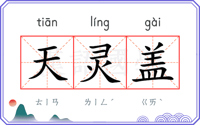 天灵盖