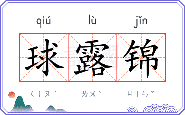 球露锦