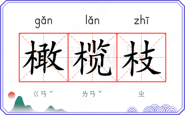 橄榄枝