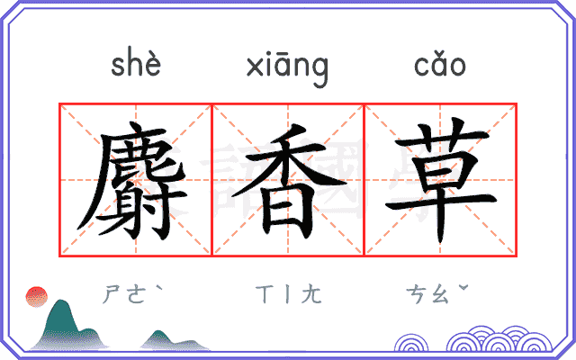 麝香草
