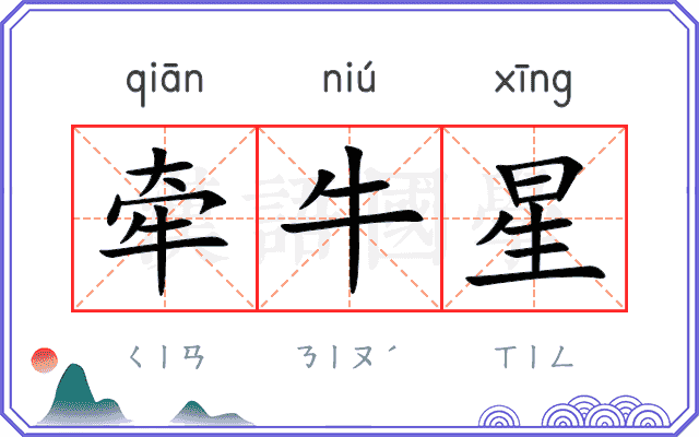 牵牛星