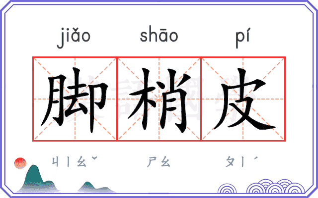 脚梢皮