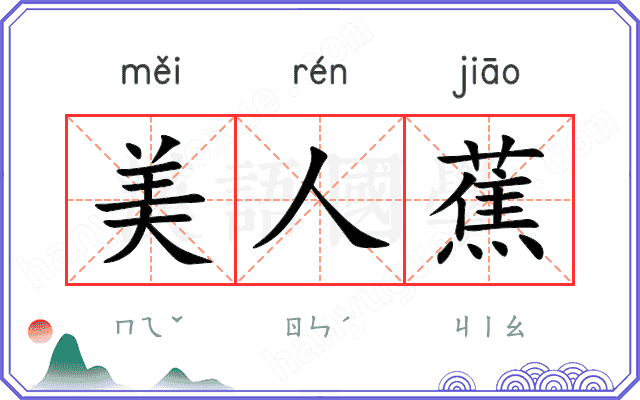 美人蕉