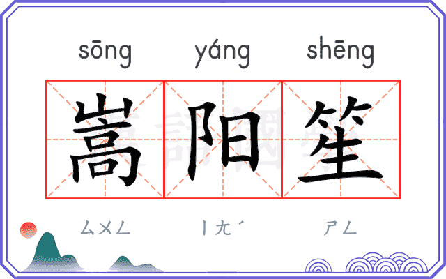 嵩阳笙