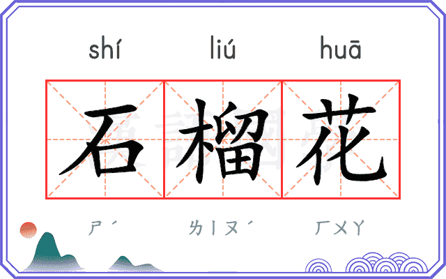 石榴花